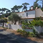3 6 Pers Rez De Jardin 5min Quartier Du Phare Location Du Dimanche Au Dimanche En Juillet Et Aout *